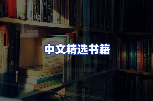 中文精选书籍